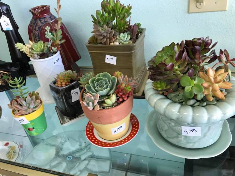 33661789_987849131381202_9058780373151907840_n